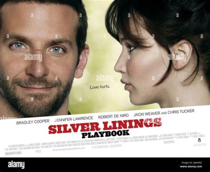 Jennifer Lawrence’s Bra In ‘Silver Linings Playbook’ — SOLD For $3,175 – Hollywood Life